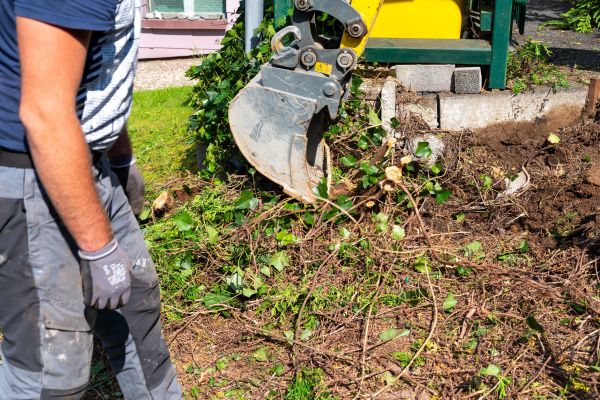 Hedge Removal Service in Pickerington