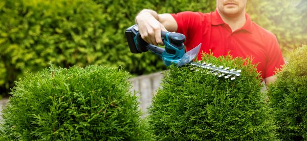 Hedge Shaping Service in Pickerington