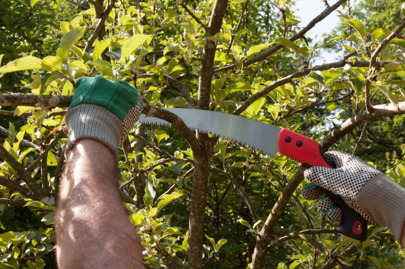 Azalea Pruning