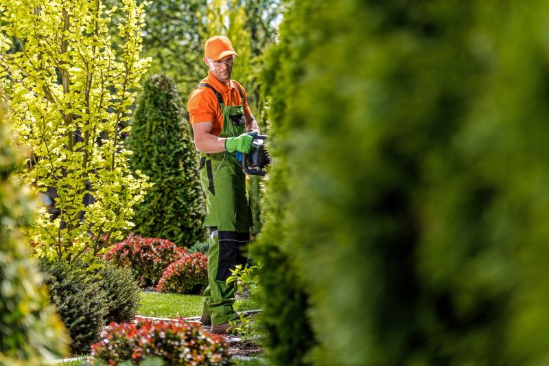 Hedge Trimming detail