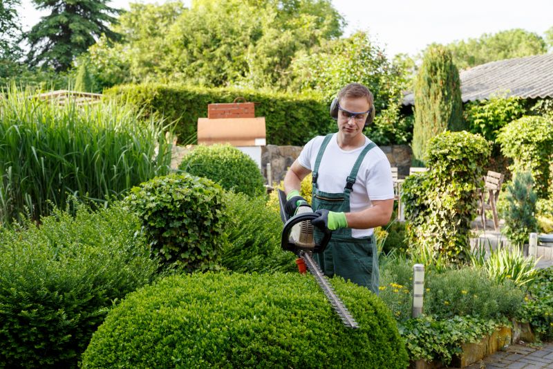 Hedge Trimming detail
