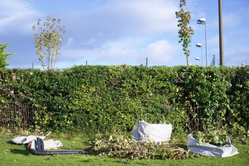 Hedge Trimming detail