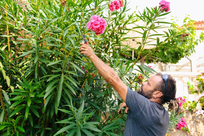 Shrub Pruning detail