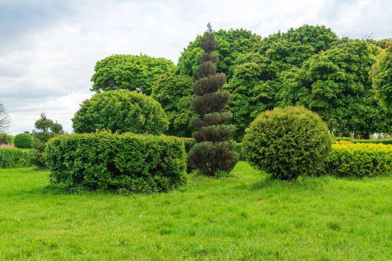 Shrub Pruning detail