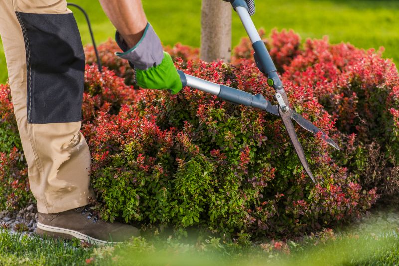 Shrub Pruning detail