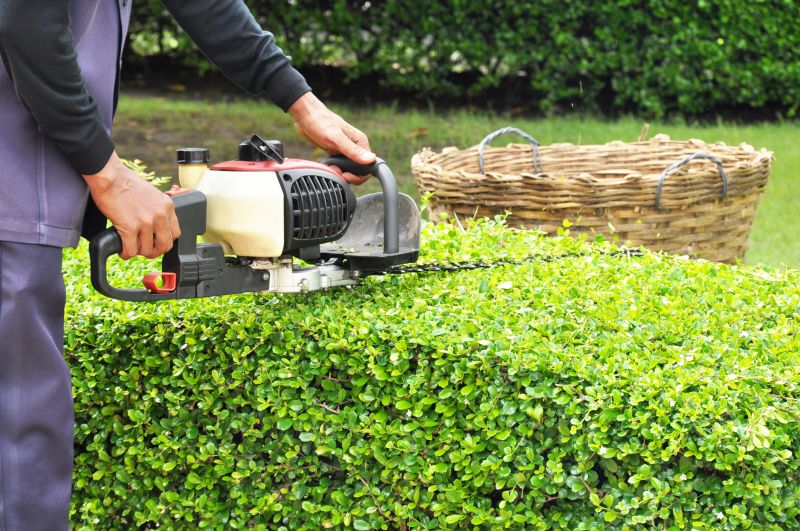 Hedge Pruning