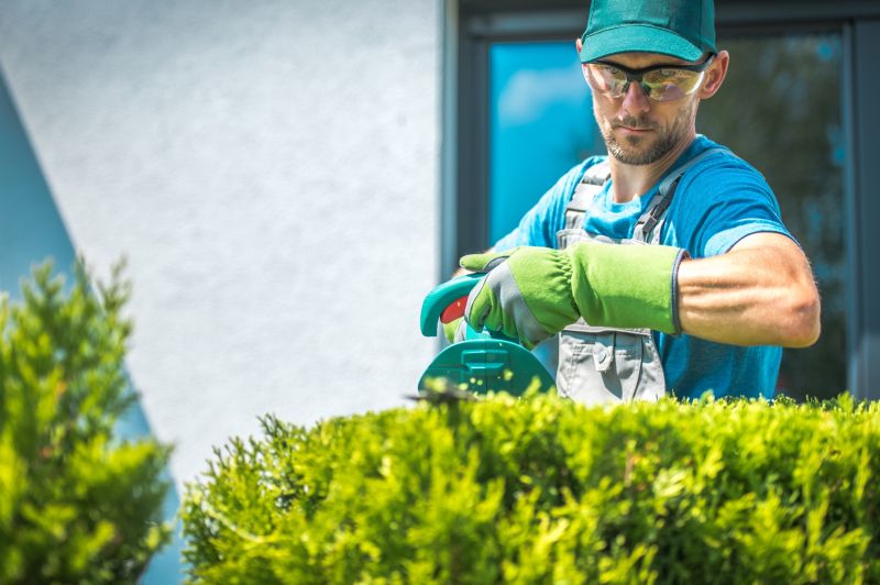Professionally Trimmed Shrubs